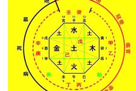 時辰八字計算|生辰八字算命、五行喜用神查詢（免費測算）